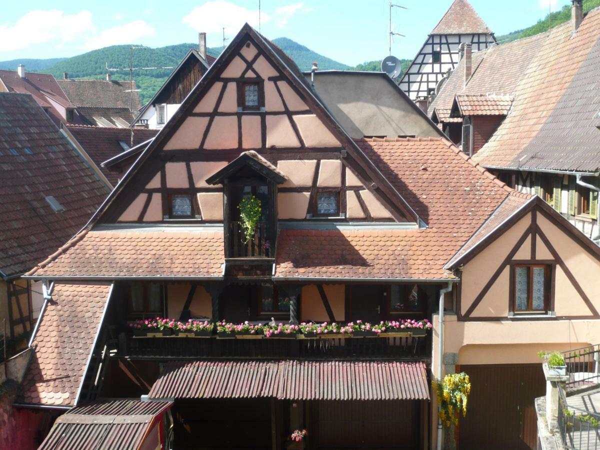 Ferienwohnung La Cour Des Meuniers - Le Froment Et L'Epeautre Kaysersberg-Vignoble Exterior foto