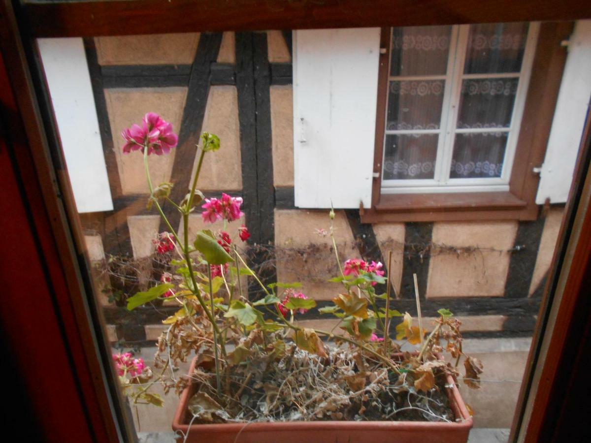 Ferienwohnung La Cour Des Meuniers - Le Froment Et L'Epeautre Kaysersberg-Vignoble Exterior foto